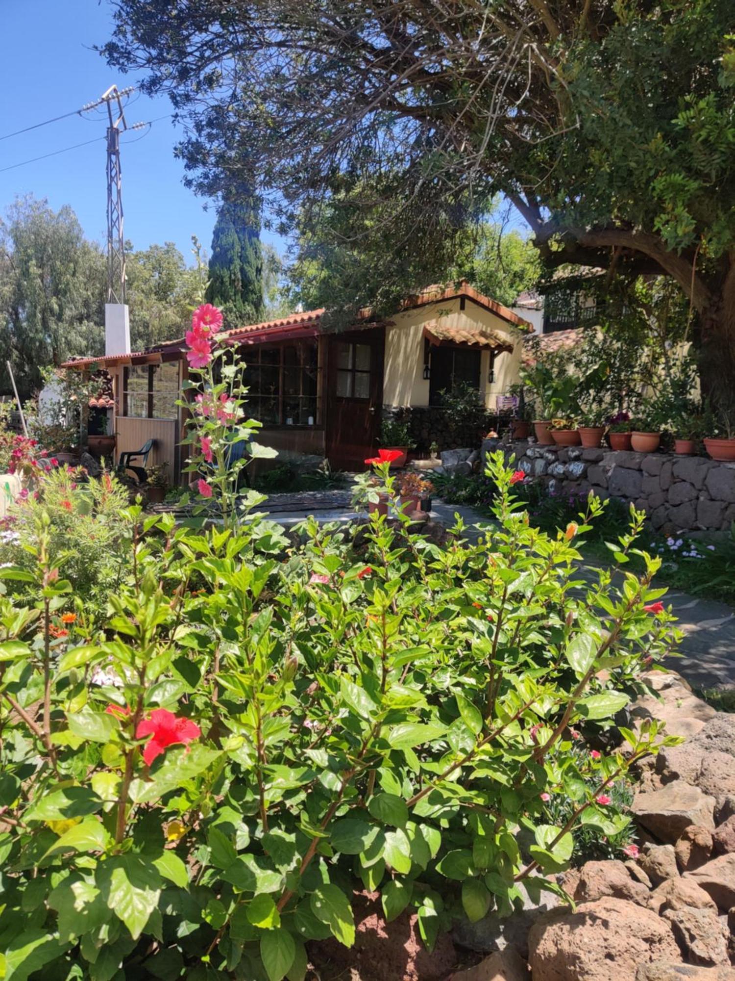 Estudio Wabi-Sabi Santa Brígida Kültér fotó